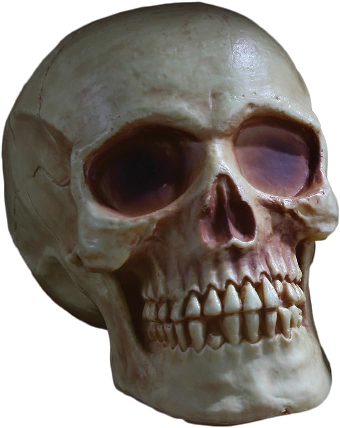 8" Skull