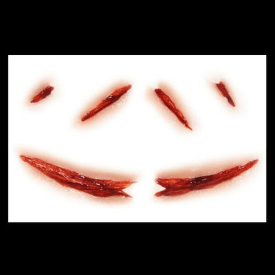 Hollywood Film Quality FX Transfers 3D Wounds- Smiley