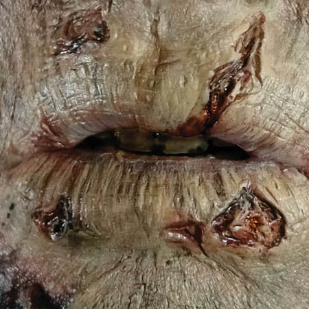 Hollywood Film Quality FX Transfers 3D Wounds- Zombie Lips