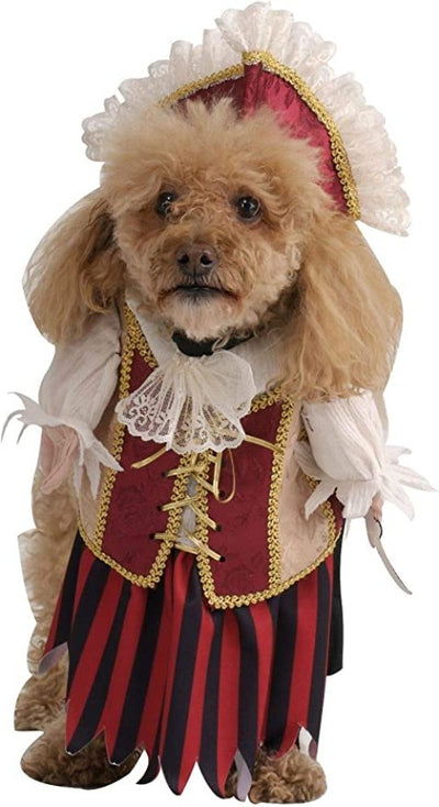 Pirate queen dog costume