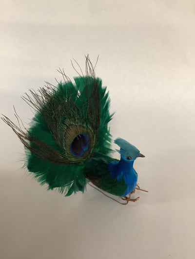 Peacock Decorative Craft Supply