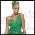 Fairy Costumes & Accessories