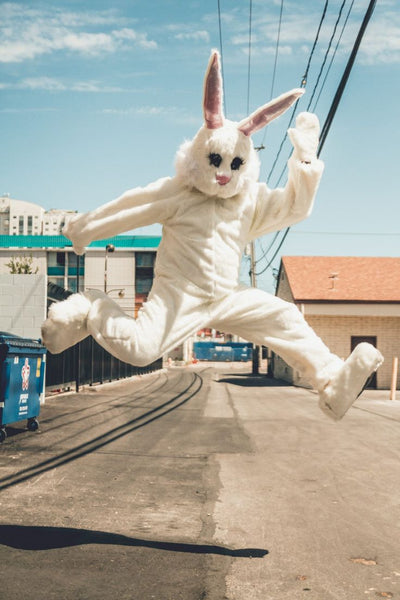 Easter Bunny Rental Costumes