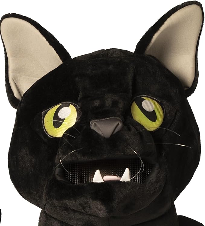 Black Cat Head & Paws - Adult Accessory Kit