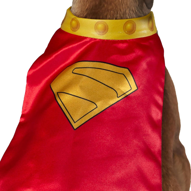 Krypto Pet Cape & Collar - Superman