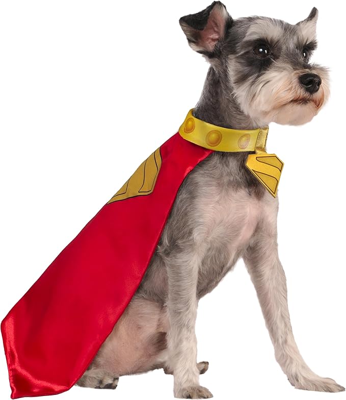 Krypto Pet Cape & Collar - Superman