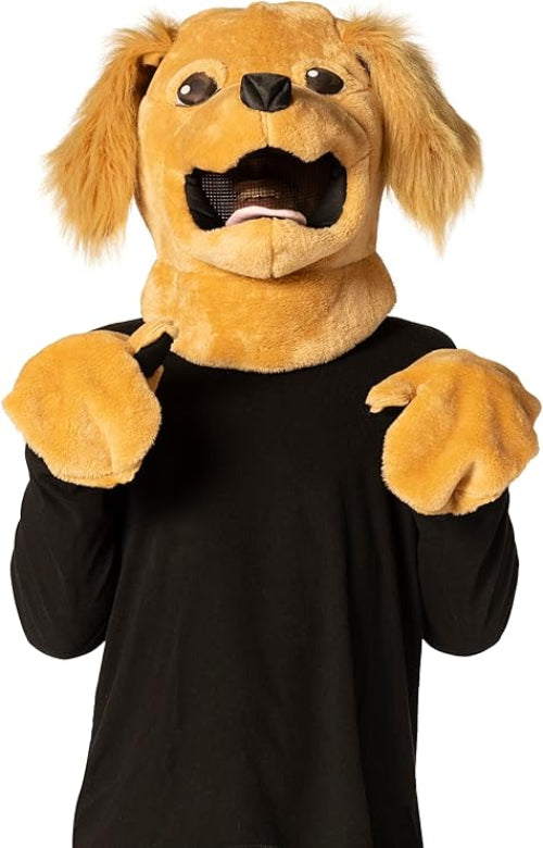 Brown Dog - Accessory Kit