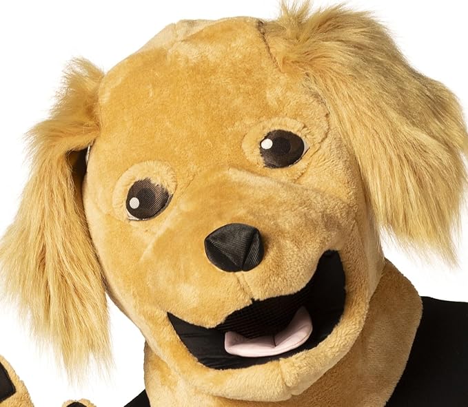 Brown Dog - Accessory Kit