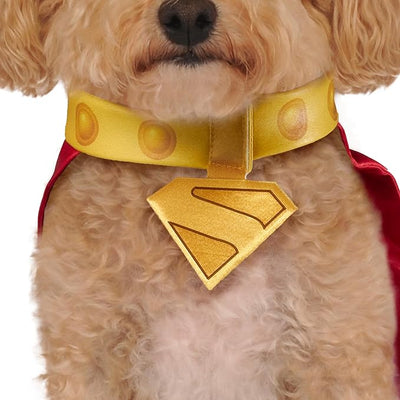 Krypto Pet Cape & Collar - Superman
