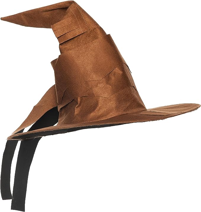 Curved Witch/Wizard Hat - Adult Accessory