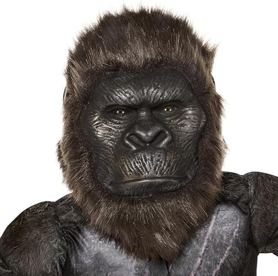 Kong - Godzilla X Kong - Child Costume