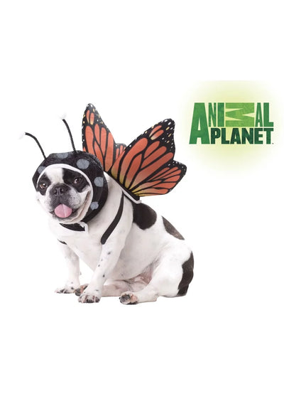 Animal Planet- Butterfly Dog Costume