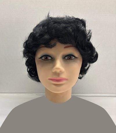 Curlilocks - Adult Wig - Chicago Costume Company