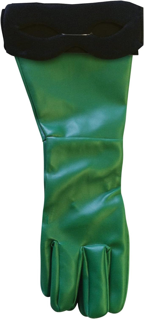 Justice League Robin Accessory Kit