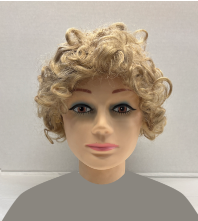 Curlilocks - Adult Wig - Chicago Costume Company