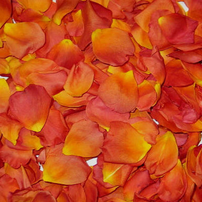 Artificial Rose Petals- Sunset