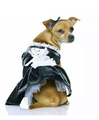 French Puppy Costume