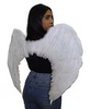 Angel Wings 31"