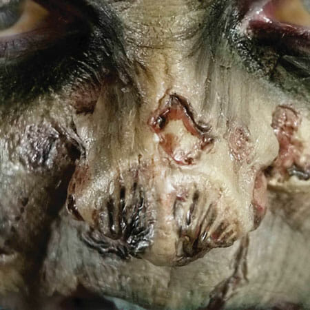 Hollywood Film Quality FX Transfers 3D Wounds- Zombie Nose