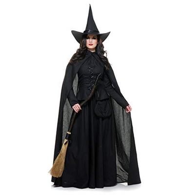 Wicked Witch Adult Costume 