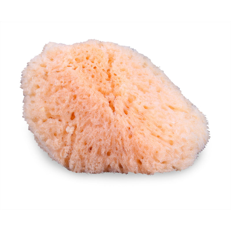 Mehron - Natural Sea Sponge Applicator