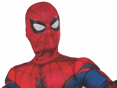 Spiderman and Friends Costumes  Chicago Costume – Chicago Costume Company