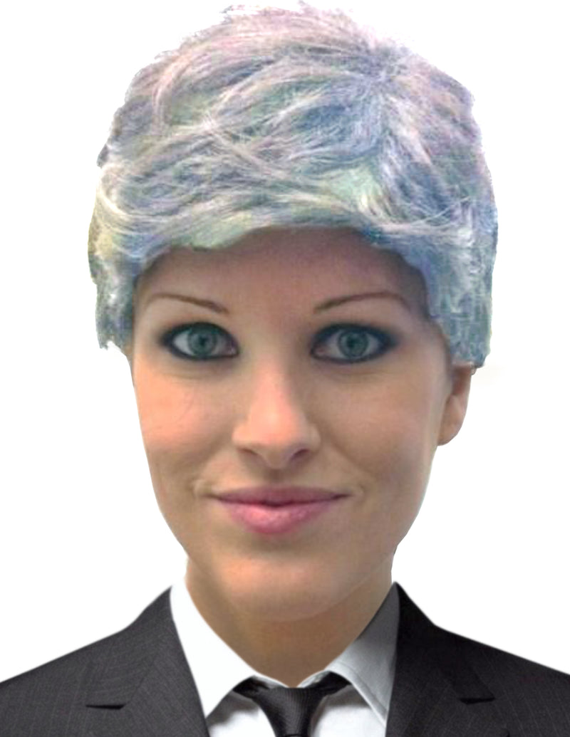 Come fly with me... straight to Chicago Costume! The Frank Sinatra wig is sure to help you swoon any lucky lady with your ol&