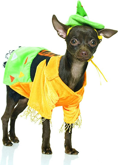 Dog scarecrow costume