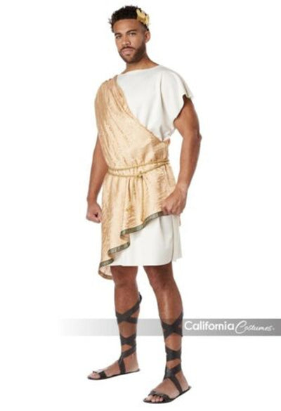 Greek God Toga Adult Costume