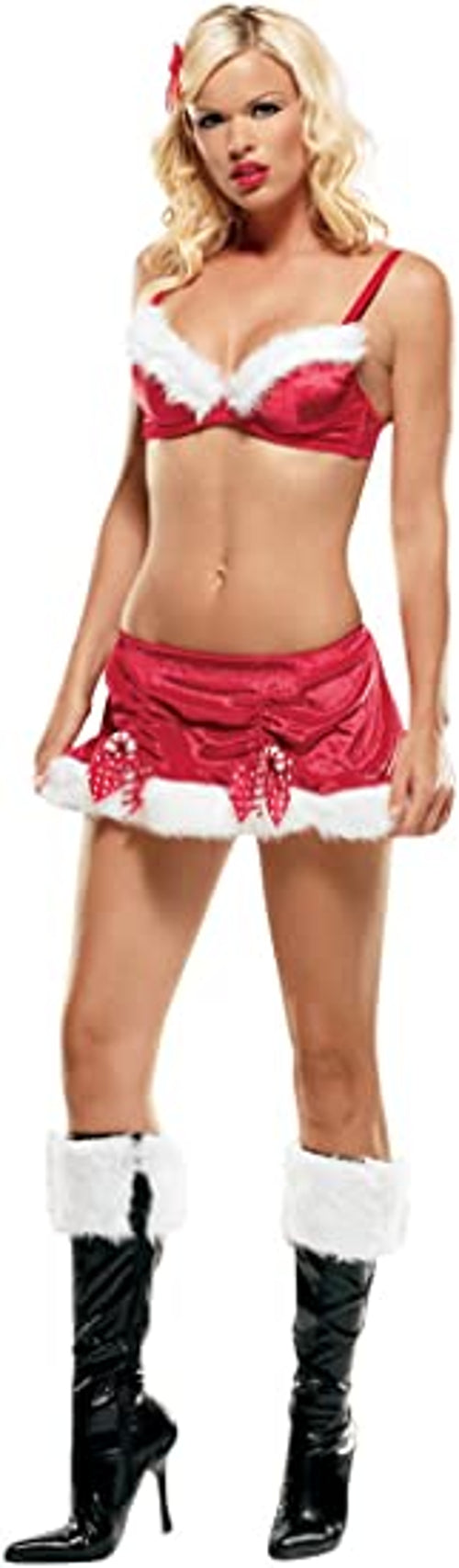 Two piece Sexy Santa Adult Costume