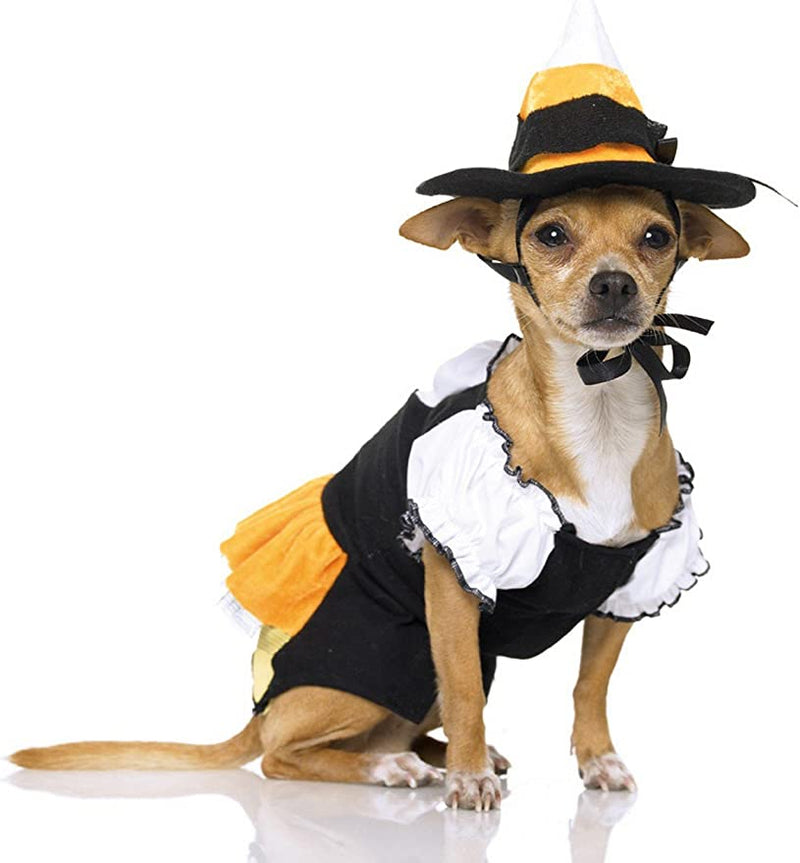 Kandy Korn Witch Pup Costume