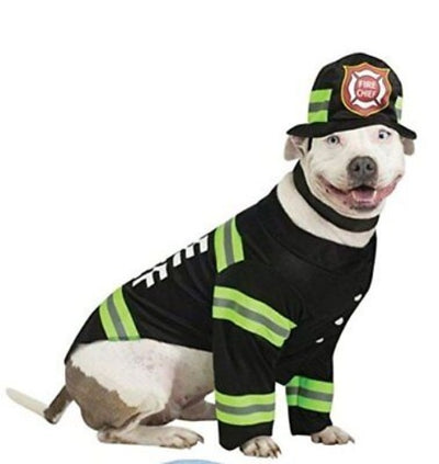 Party pooch fire dog