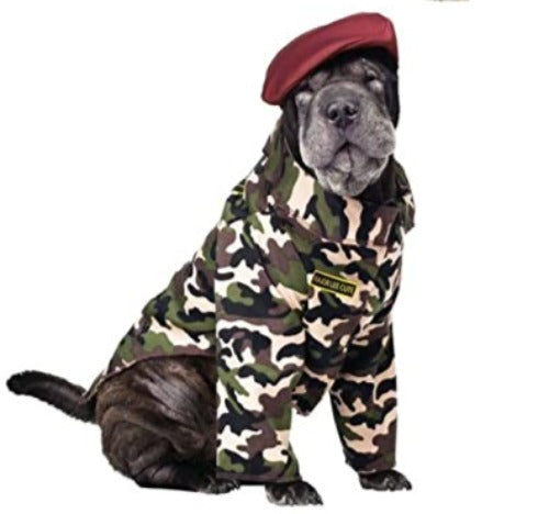 Army dog costume
