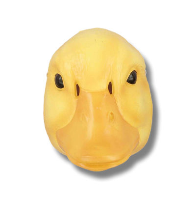 Plastic Duck Mask