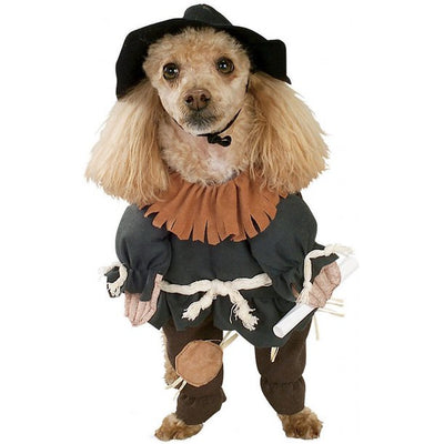 Wizard of Oz Scarecrow Pet Costume