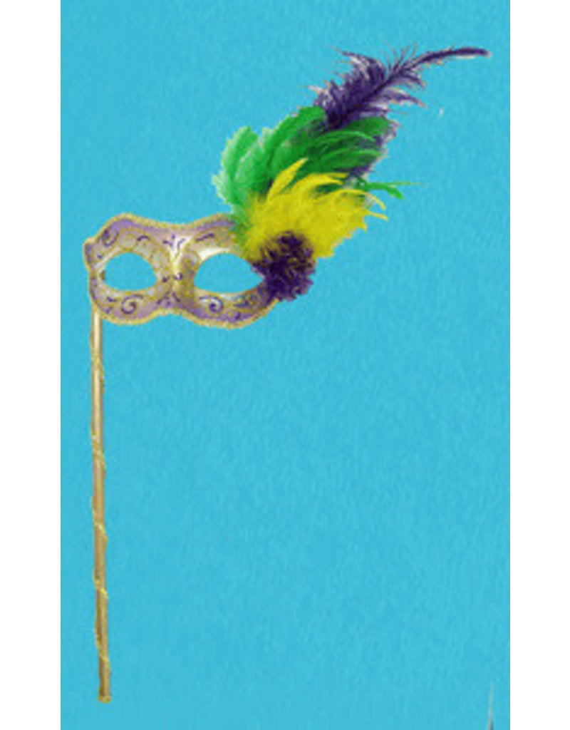 Disguise Mardi Gras Mask with Handle