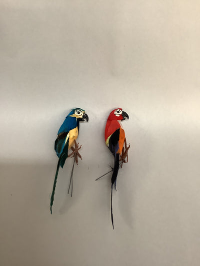 Macaw Craft Supply