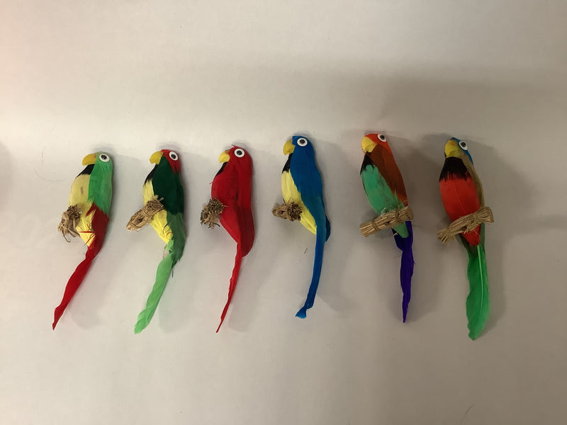 Birds of the World- Perch
