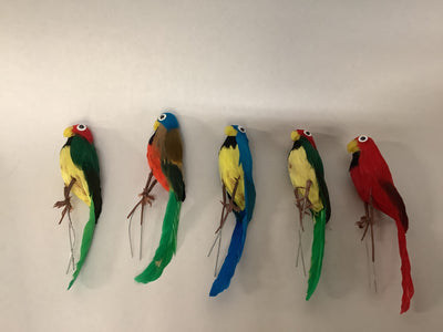 Bird of Paradise- Individual Birds