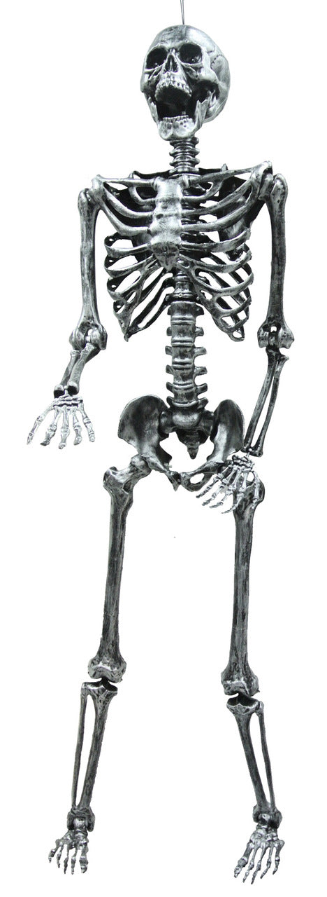 5 Ft Light-Up Skeleton