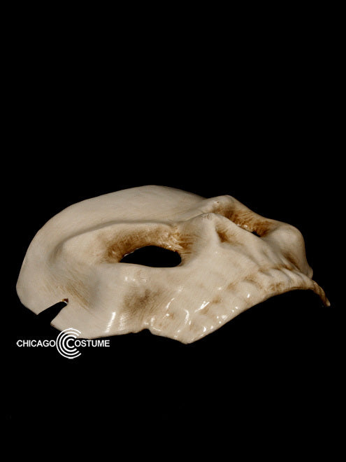 Antique Skull Half Mask Skeleton