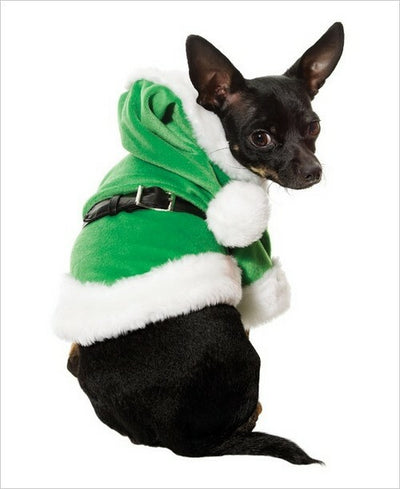 Santa Paws Dog Costume-Green