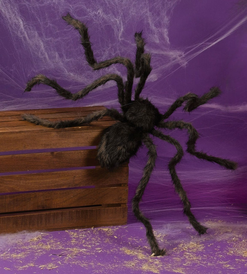 50" Hairy Spider