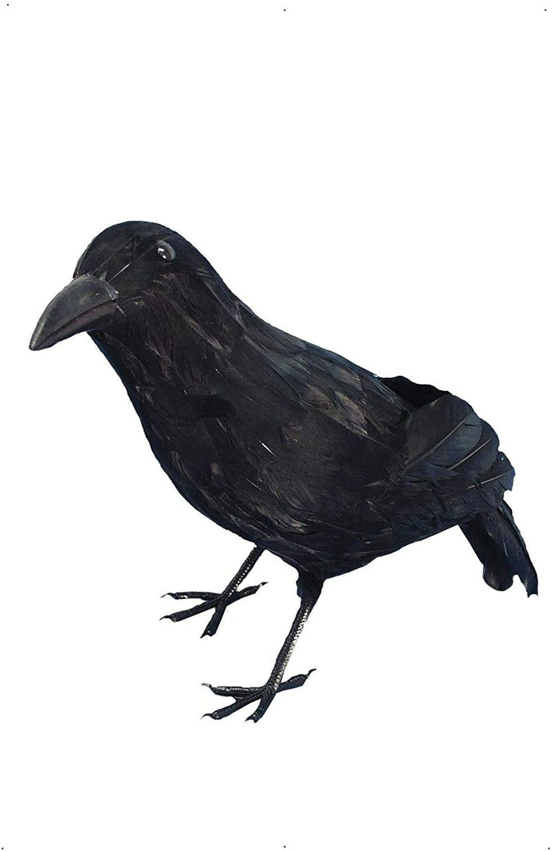 Feathered Crow - Horror
