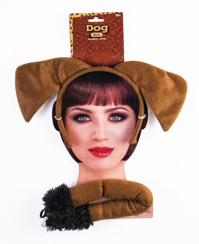 Brown Dog Accessory Kit