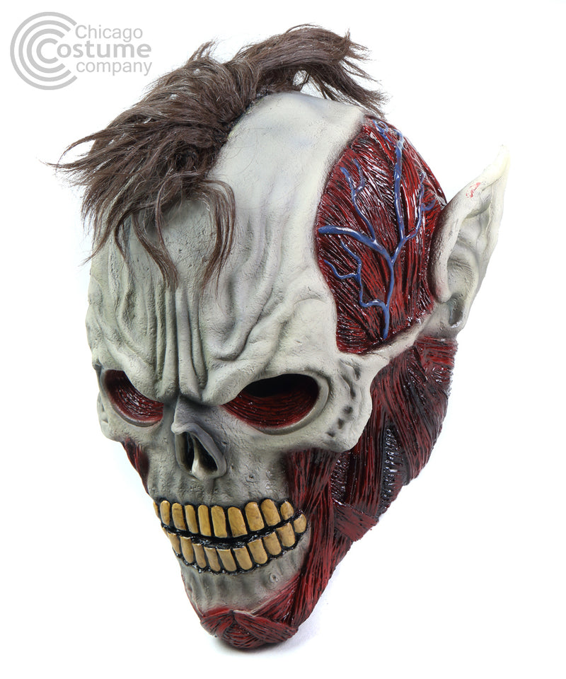 Death Rider Overhead Latex Mask