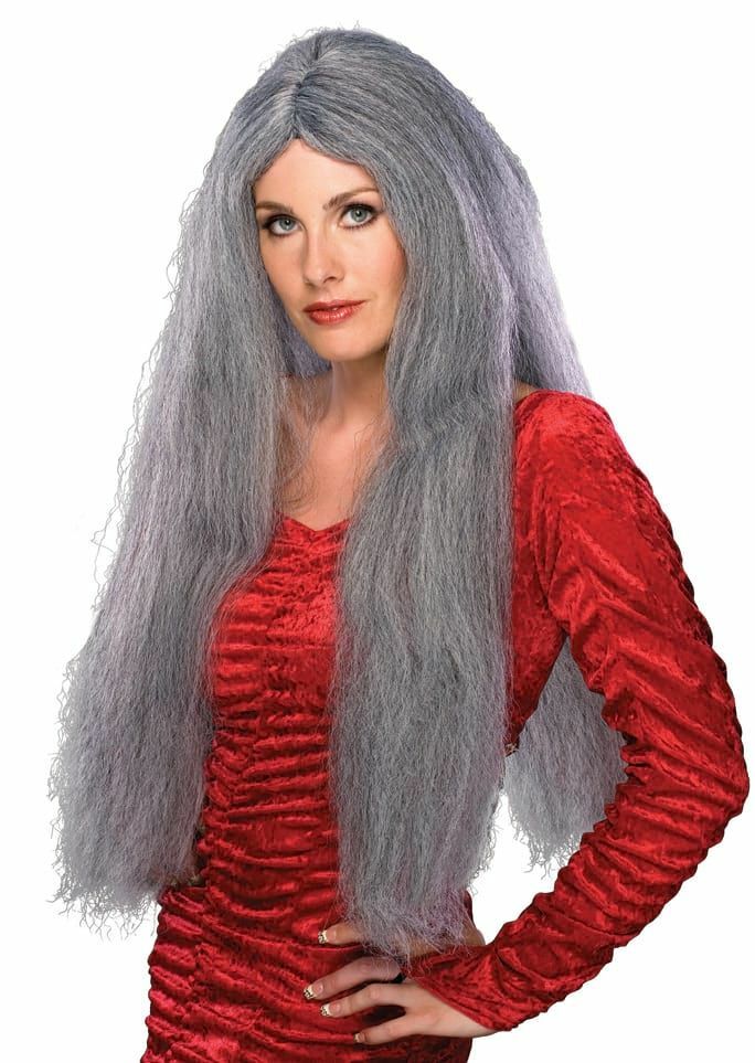 28" Long Grey Costume Wig