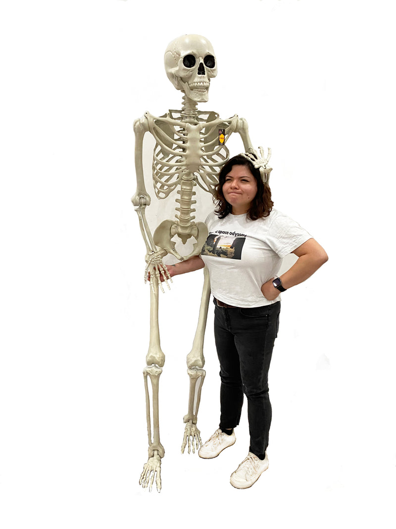 Giant Skeleton