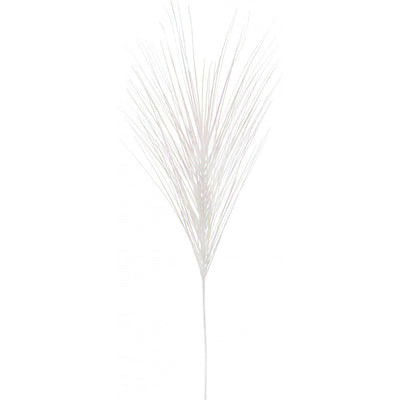 Decorative Onion Grass Iridescent
