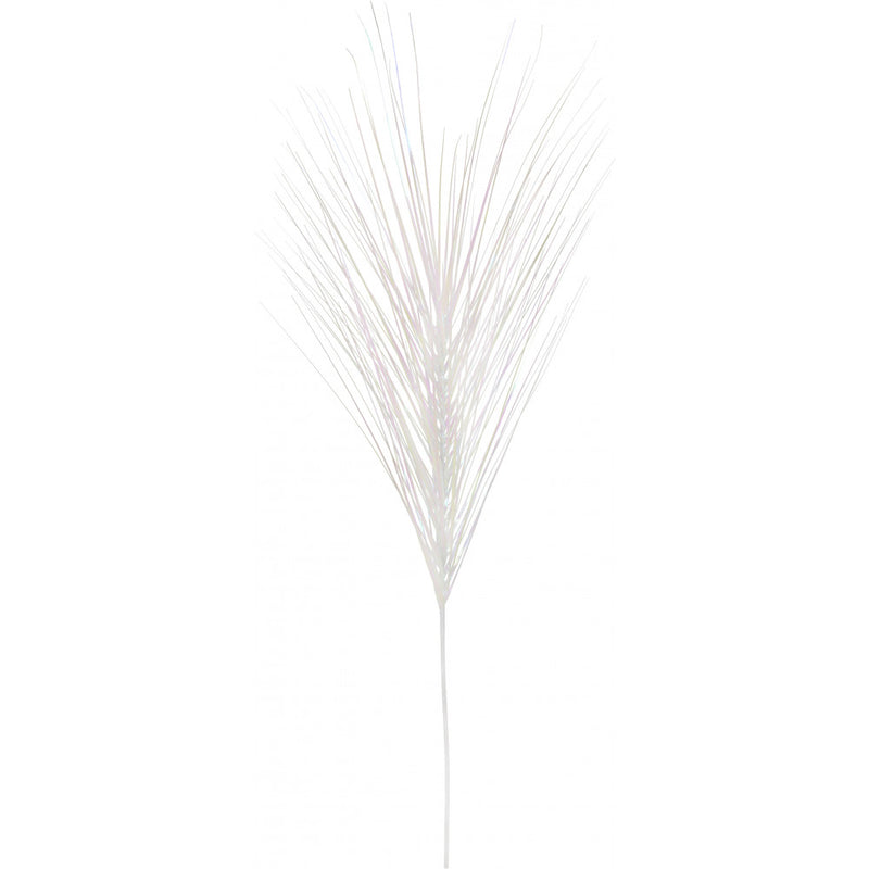 Decorative Onion Grass Iridescent